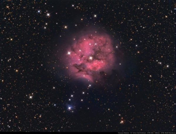 Astronomy Alive - Orion Optics ODK12 Dall Kirkham Reflecting telescope