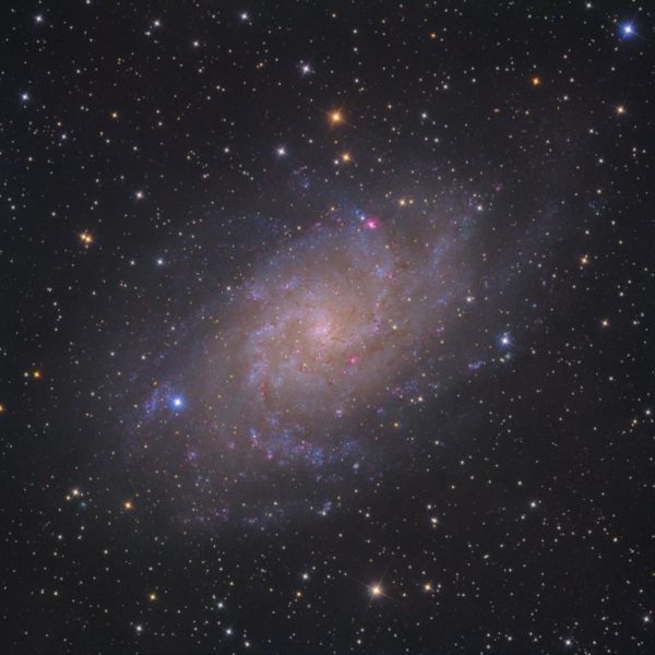 Astronomy Alive - Orion Optics UK AG8 Astrograph Reflecting telescope